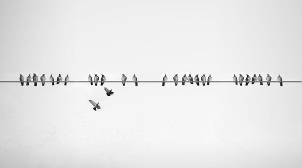 Measuring Your Digital Signage Network: Aligning Disparate Teams